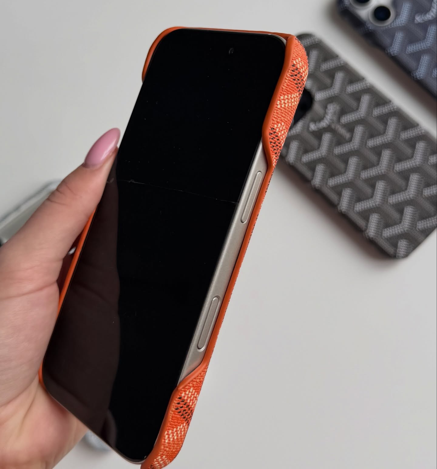 NEW Goyard Leather Fabric Case 💪🏻